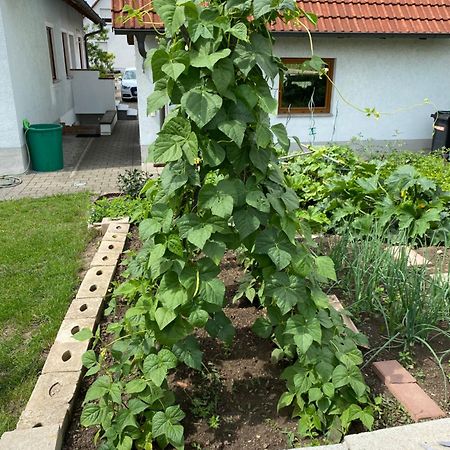 Ferienwohnung Eibenweg Gebsattel Buitenkant foto