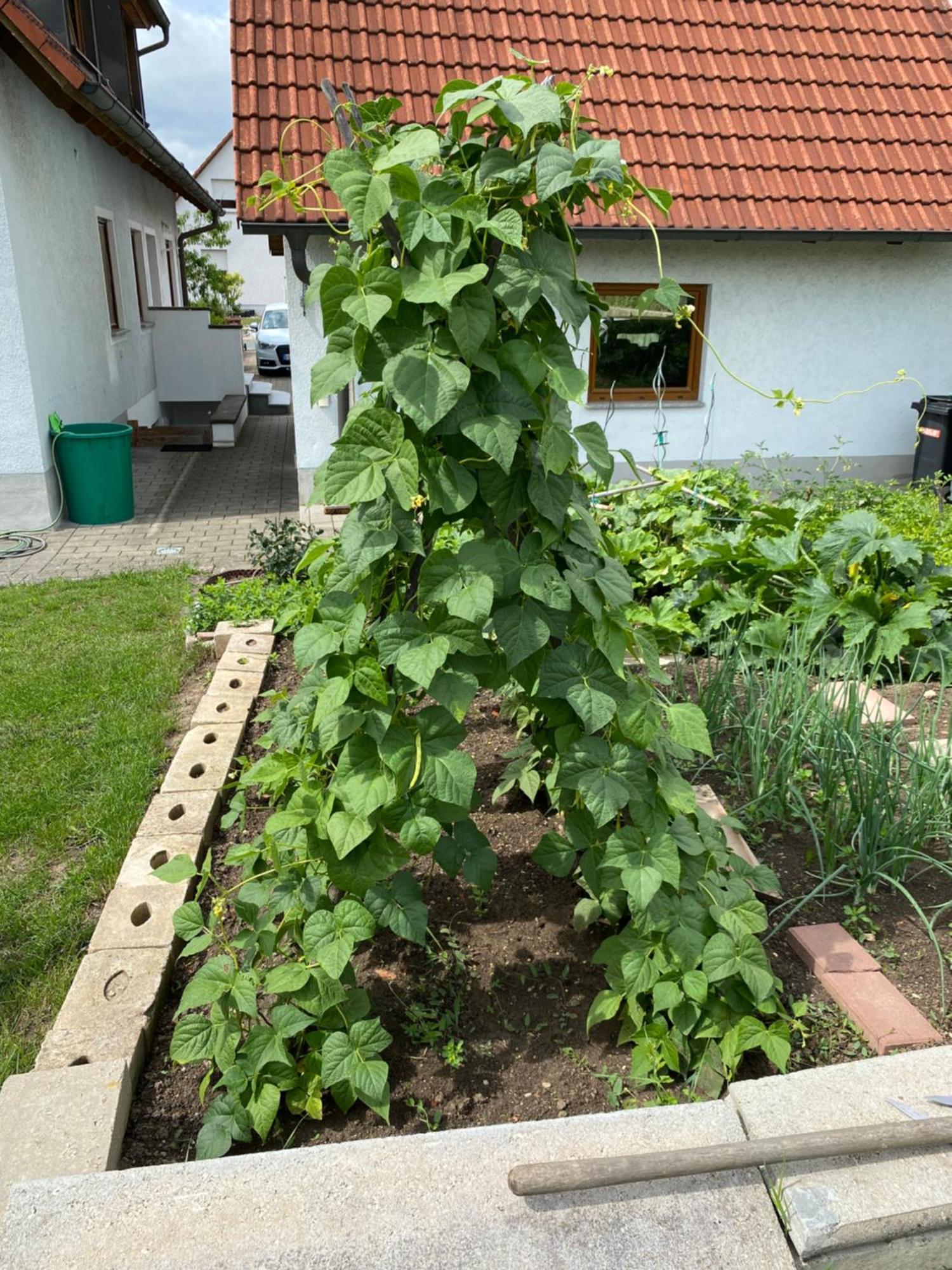 Ferienwohnung Eibenweg Gebsattel Buitenkant foto
