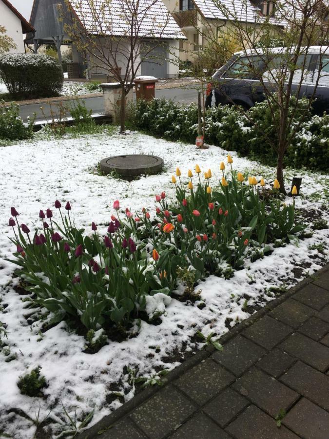Ferienwohnung Eibenweg Gebsattel Buitenkant foto